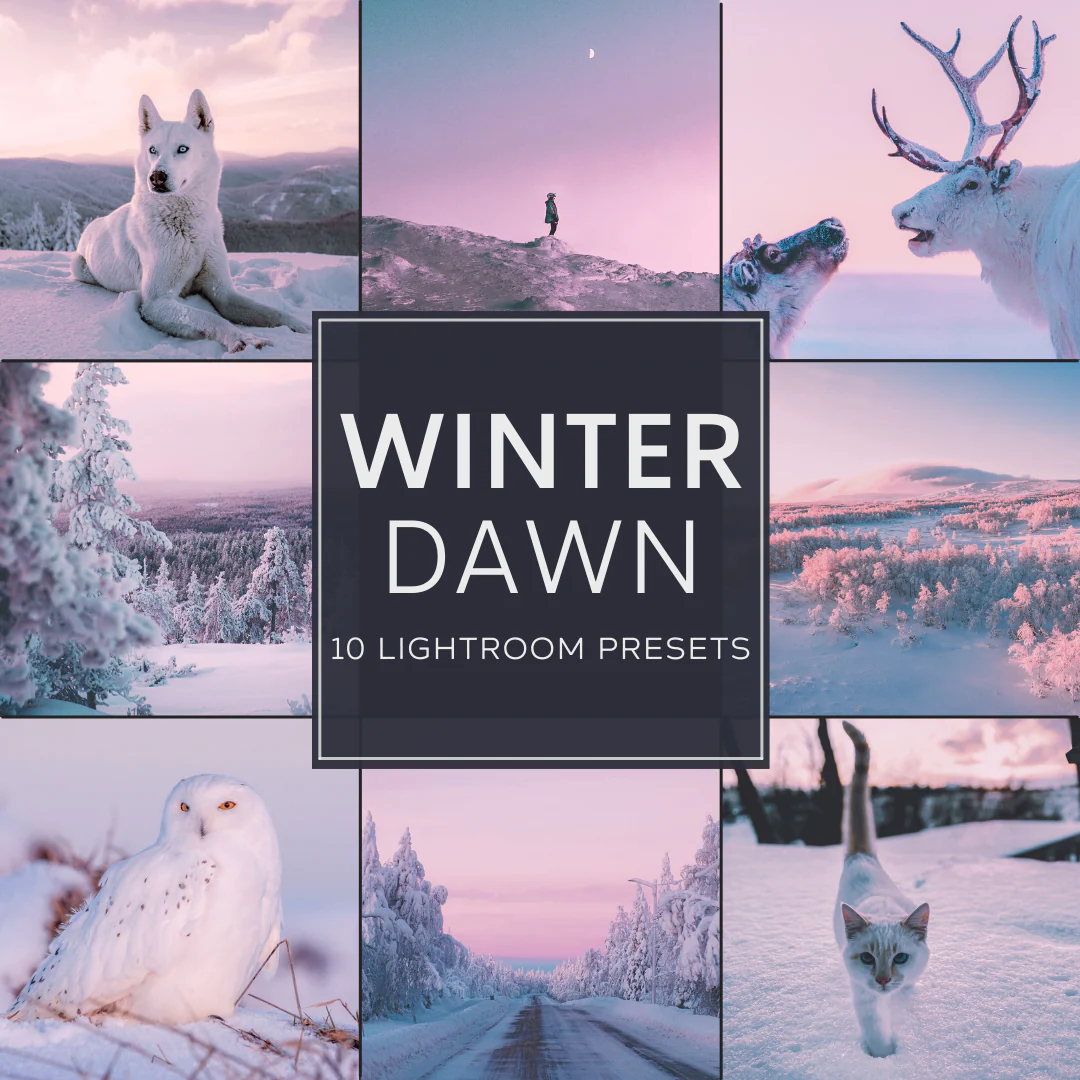 冬日黎明限量LR / PS预设包 Winter Dawn LIMITED Presets Pack-预设大师