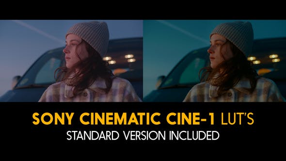 20个索尼电影色调滤镜调色预设Sony Cinematic Cine-1 and Standard Luts for Final Cut