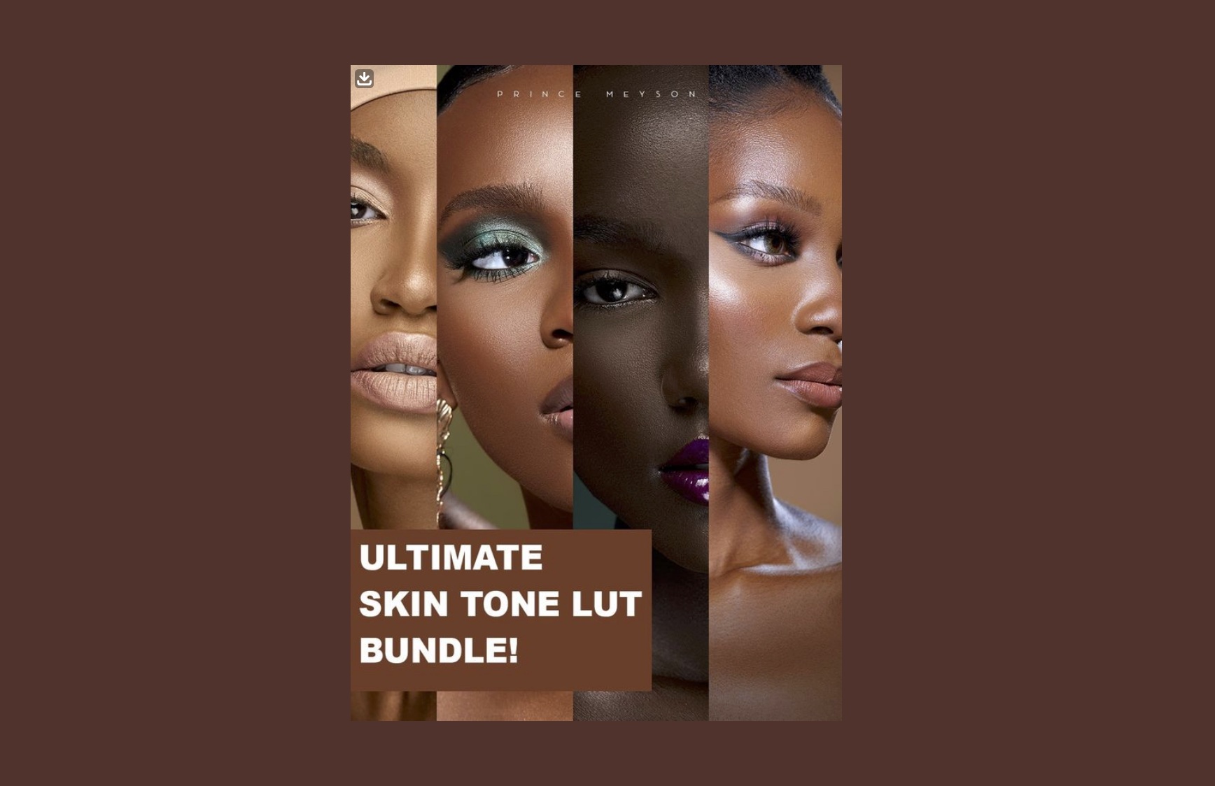 黑白皮肤3D LUTS调色预设包Ultimate Skin Tone LUT Bundle