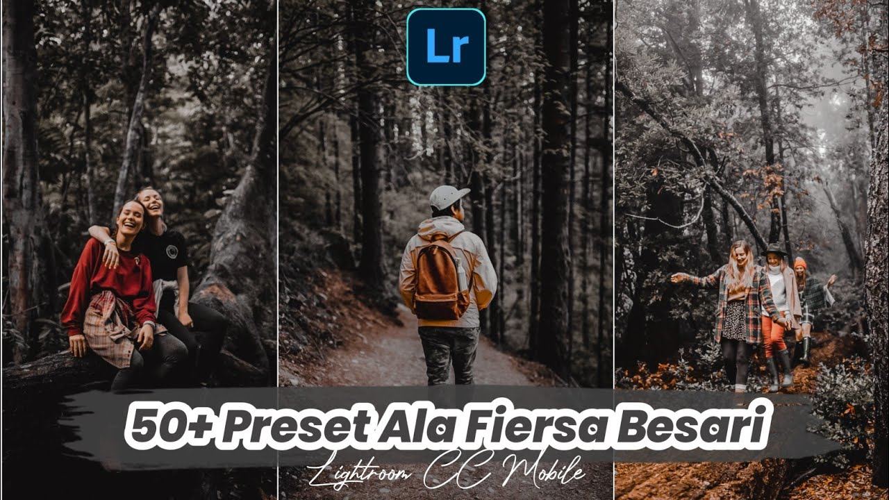 50个自然电影质感黑色调预设 Nature Cinematic Presets