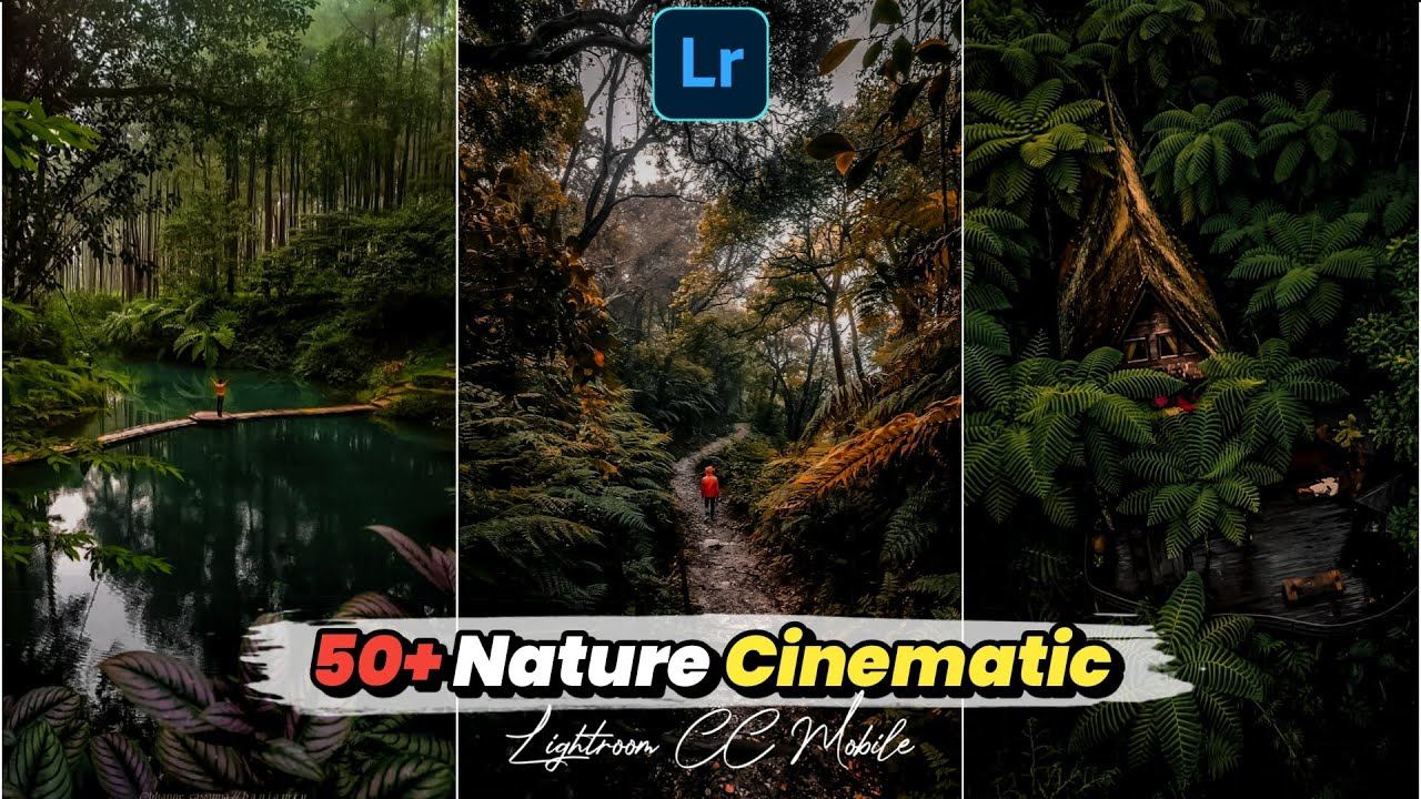 50个自然电影风格Lightroom、ps预设，Nature Cinematic