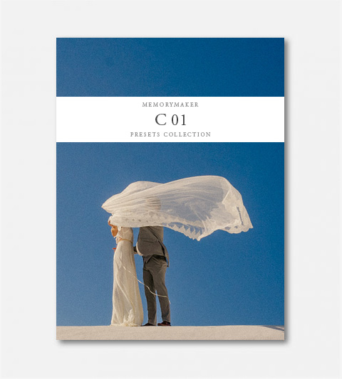 4种胶片色彩预设 MemoryMaker Presets – Color Pack 01 Presets